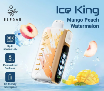 ElfBar Ice King