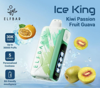 ElfBar Ice King